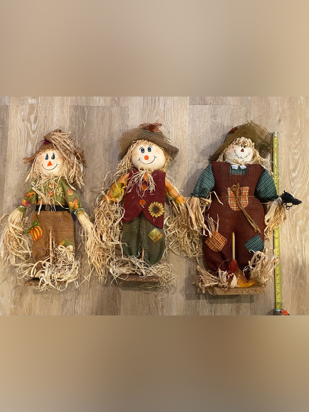 π§ Scarecrow Bundle π§ - Picture 4 of 7